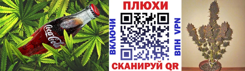 Купить  Оса  Cannafood марихуана 