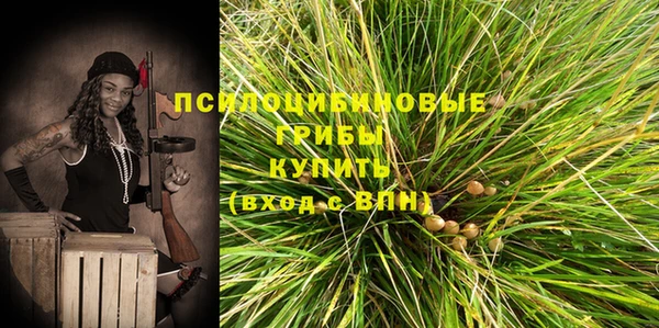 ешки Вязники