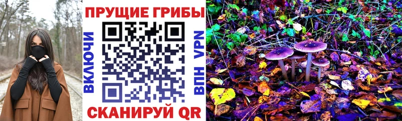 Галлюциногенные грибы Psilocybe  Купить  Оса 